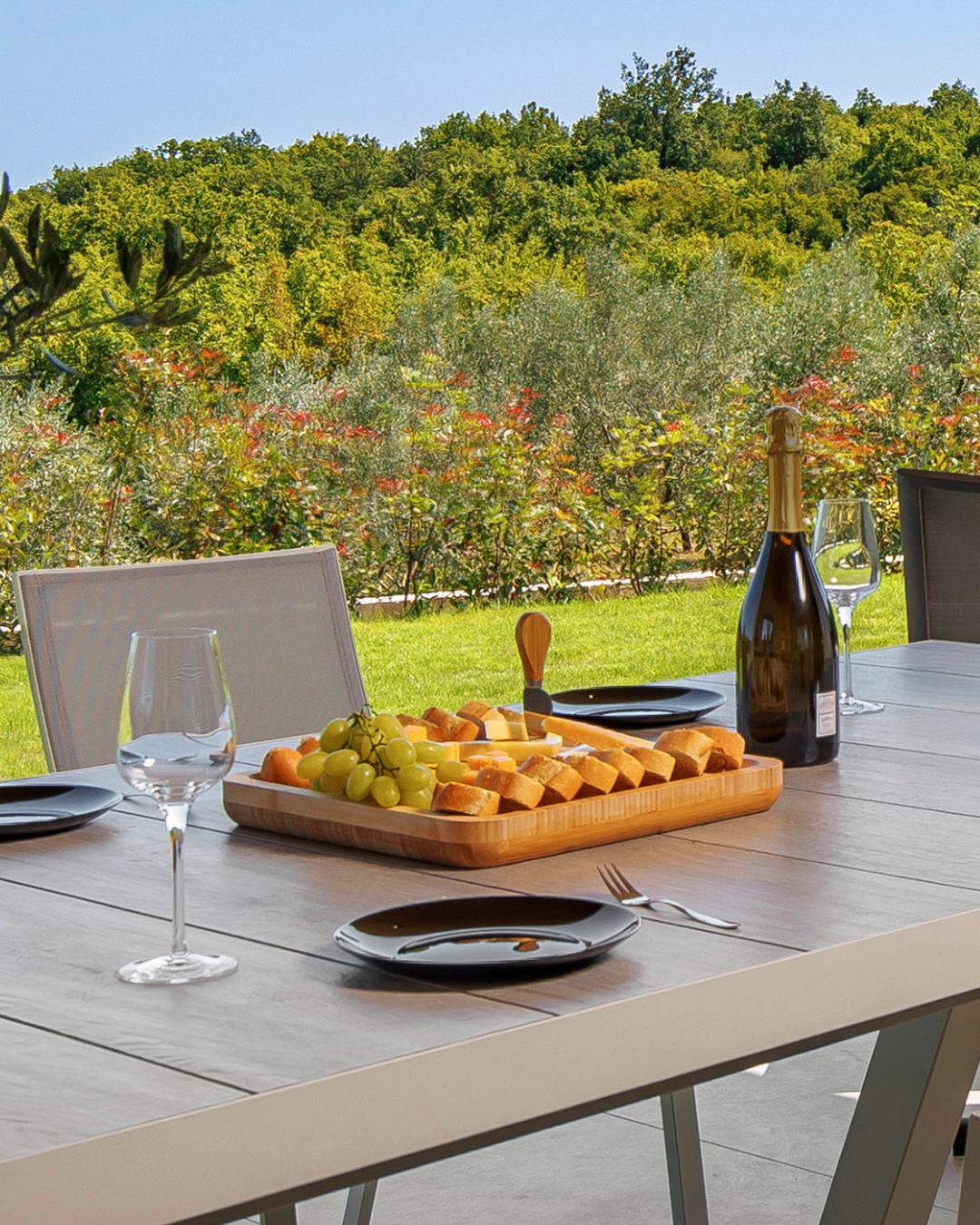 Table set on the terrace with fruit and wine