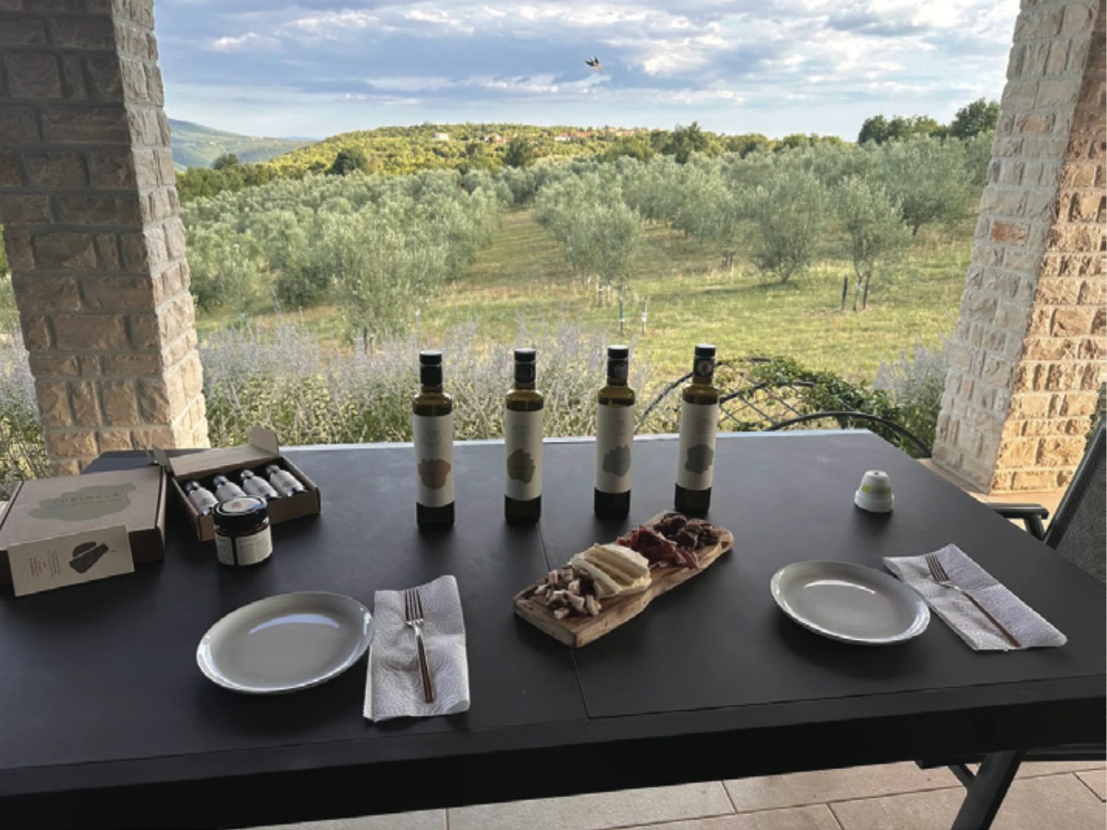 Turinela olive oil tasting with local bites, overlooking the olive groves
